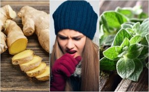 5 plante care ajută la eliminarea flegmei