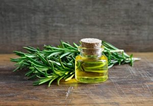 Descoperă incredibilele utilizări și beneficii ale rozmarinului