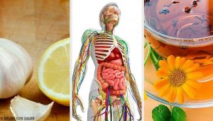 6 remedii pentru detoxifierea sistemului limfatic