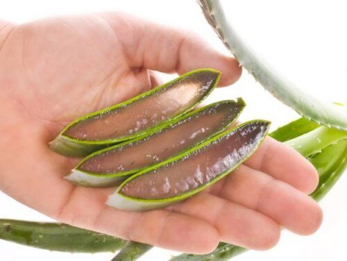 Aloe vera ca ingredient în produse naturale pentru hidratarea pielii