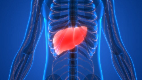 Dietă pentru curățarea ficatului de toxine dăunătoare