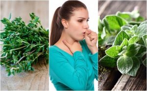 5 plante medicinale împotriva tusei productive