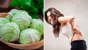Remediu pentru hernie cu argilă, oțet și varză