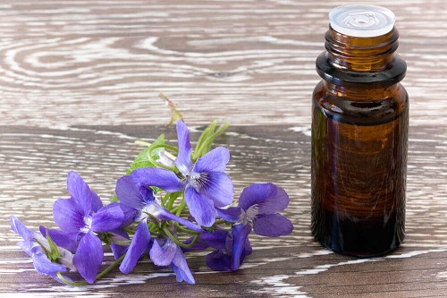 Flori albastre pentru terapia florală Bach