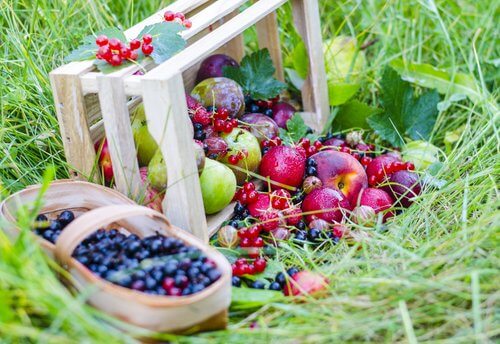 Fructele de pădure sunt alimente care stimulează producția de colagen