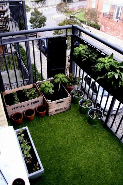 Ghidul grădinii urbane în oraș