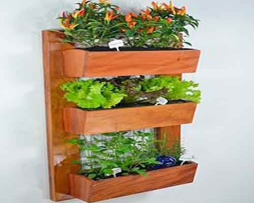 Ghidul grădinii urbane presupune un raft vertical de plante