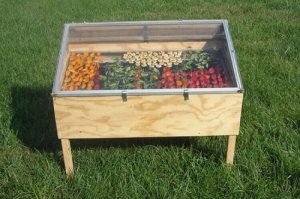 Cum să faci un deshidrator solar de alimente