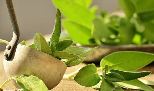 Remedii naturale împotriva mirosului de transpirație preparate cu salvie