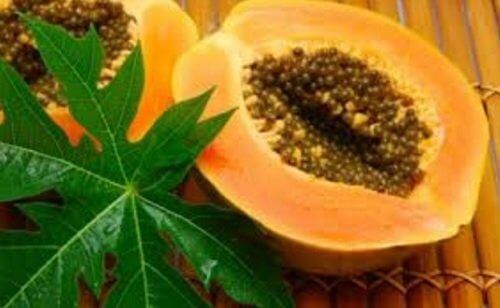 Creșterea numărului de trombocite cu infuzie de frunze de papaya