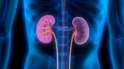 Dietă detoxifiantă pentru rinichi care ajută la buna funcționare a acestora