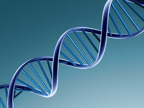 Gemenii identici și fraternali prezintă diferențe din punct de vedere genetic