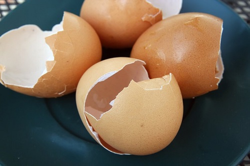 6 întrebuințări ale cojilor de ouă în gospodărie