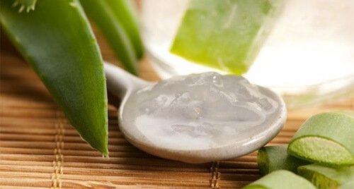 Gel de aloe vera