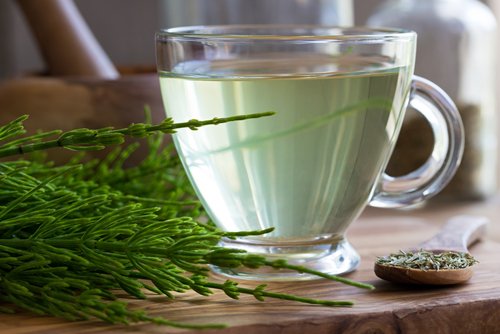 Plantele precum coada-calului previn pietrele la rinichi