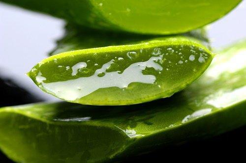 Beneficii oferite de aloe vera pentru sănătate