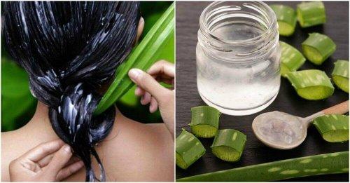 Beneficii oferite de aloe vera pentru scalp și păr