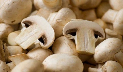 Rețete delicioase cu ciuperci champignon