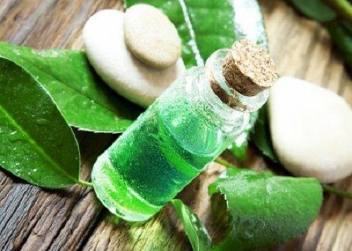 Remedii naturale pentru abcesul dentar cu ulei de arbore de ceai