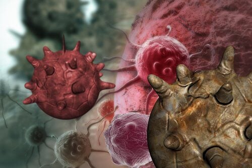 Mitul alimentelor cancerigene
