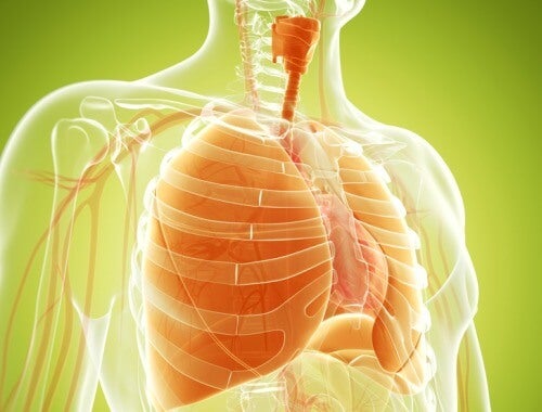 Remedii naturale pentru detoxifierea plămânilor