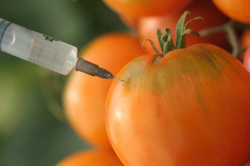 Roșii și mitul alimentelor cancerigene