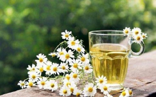 Mușețel în remedii naturale pentru dureri în gât
