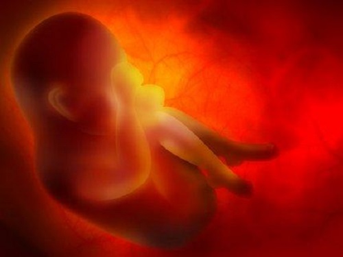 Fetus care se dezvoltă în uter