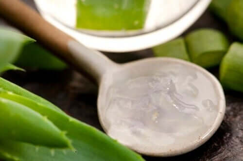 Aloe vera tratează căderea părului