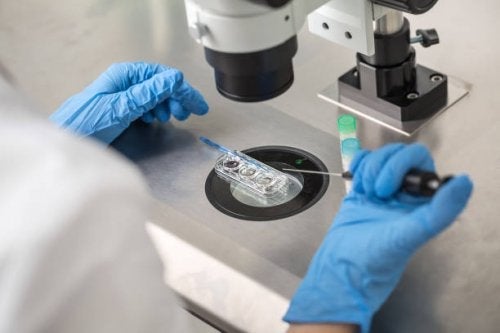 Diagnosticul genetic de preimplantare