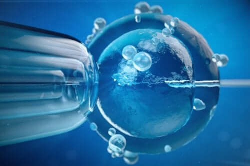 Fertilizare in vitro