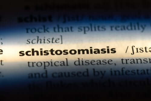 Ce este schistosomiaza și cum este contractată?