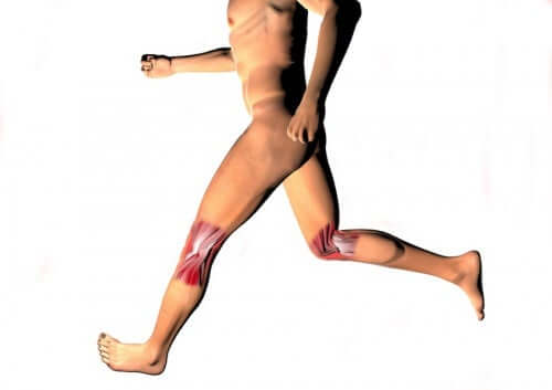 Articulații sinoviale la genunchi