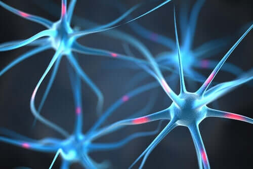 Conexiune sinaptică între neuroni