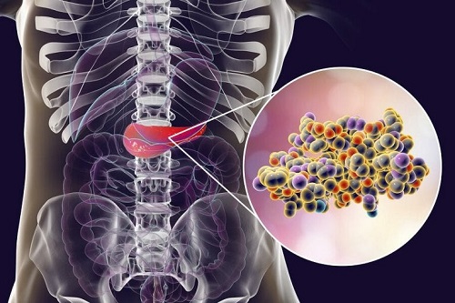 Microbiomul uman