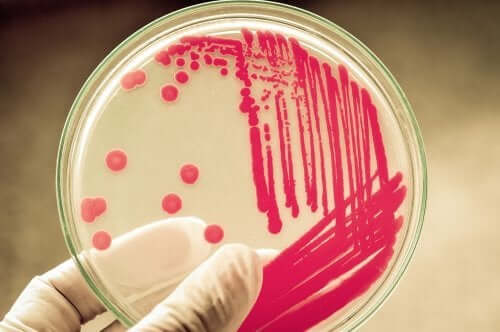 Ce sunt antimicrobienele