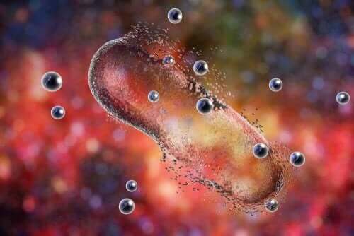 Bacterii nocive în organism