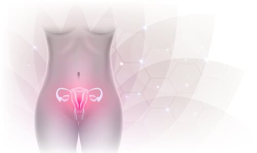 Ce este insuficiența ovariană primară?