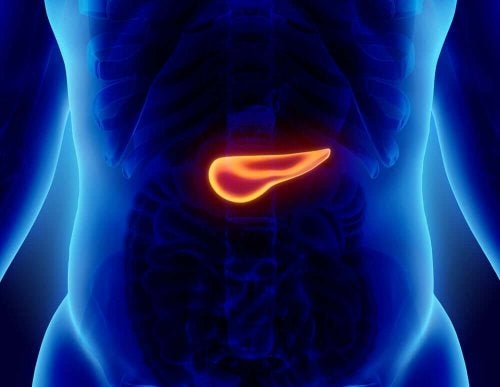 Probleme la pancreas