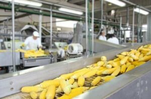Procesarea alimentelor și conținutul nutrițional