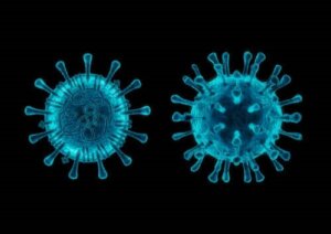 5 informații despre infecția cu coronavirus la câini