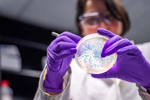Diferențele dintre viruși și bacterii