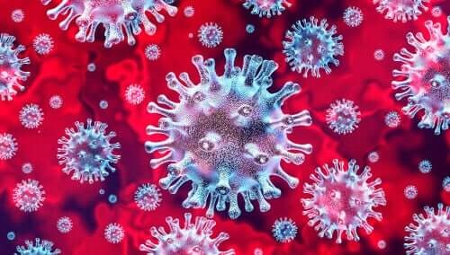 Virusul COVID-19 atacând organismul