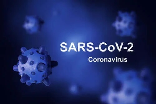 Originea coronavirusului: de ce nu poate fi eradicat?
