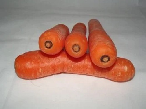 Beneficiile morcovilor pentru sănătate