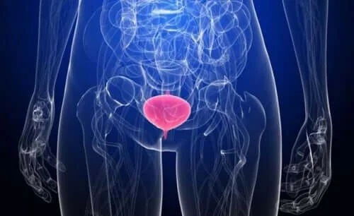 Cauzele infecțiilor de tract urinar la femei