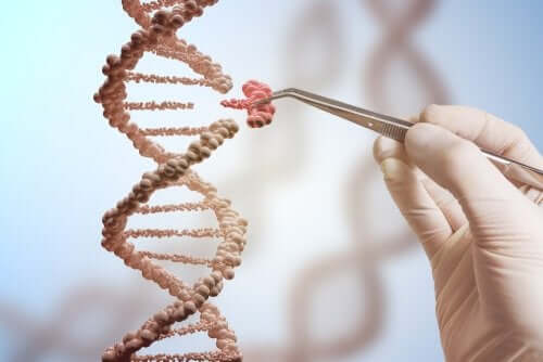 Cercetători studiind o catenă de ADN