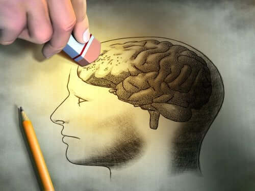 Creier în craniu desenat cu un creion