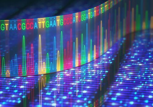 Informații codificate în ADN