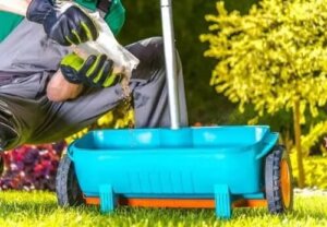 Ingrediente naturale pentru fertilizarea plantelor